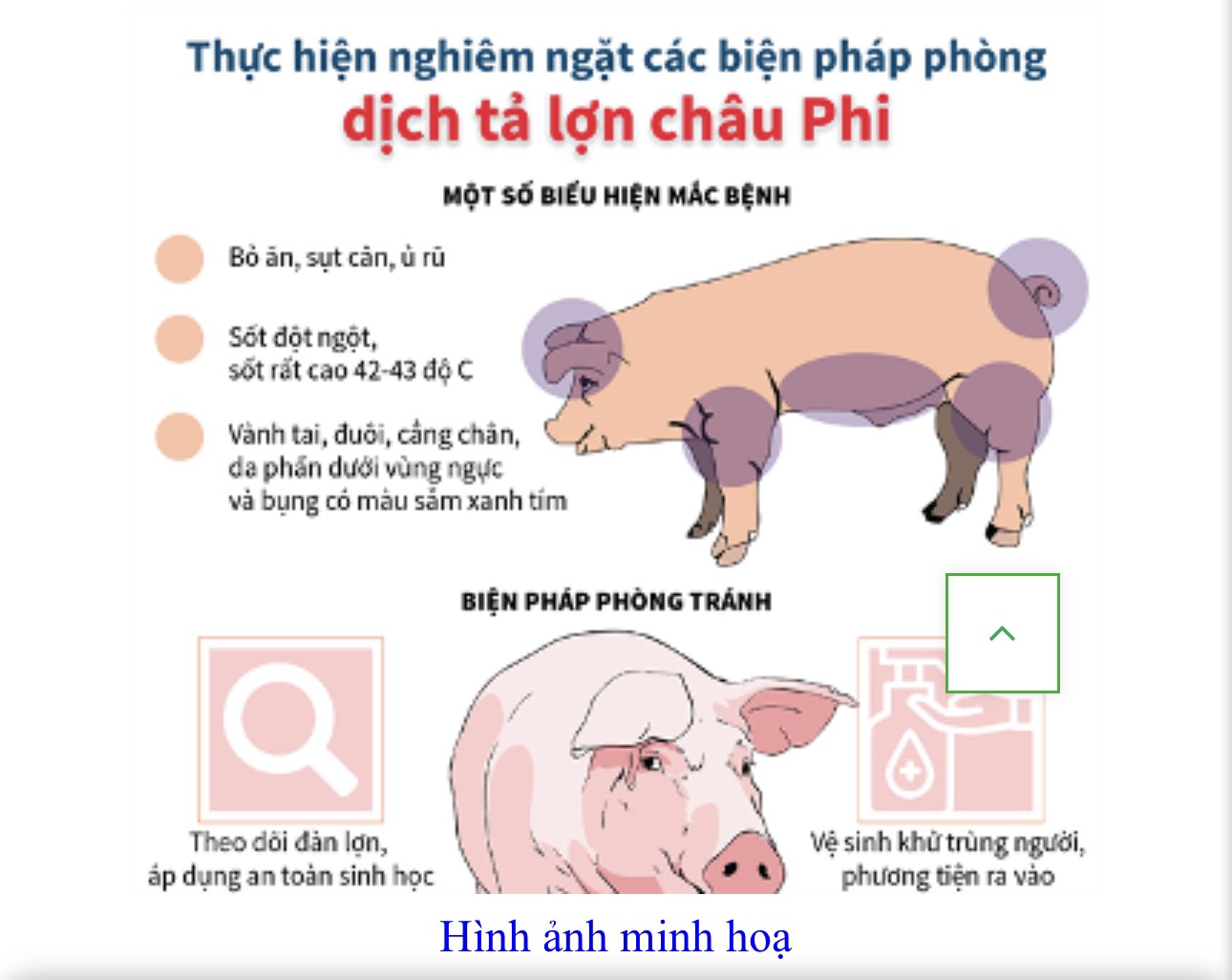 BÀI TUYÊN TRUYỀN PHÒNG CHỐNG DỊCH TẢ LỢN CHÂU PHI